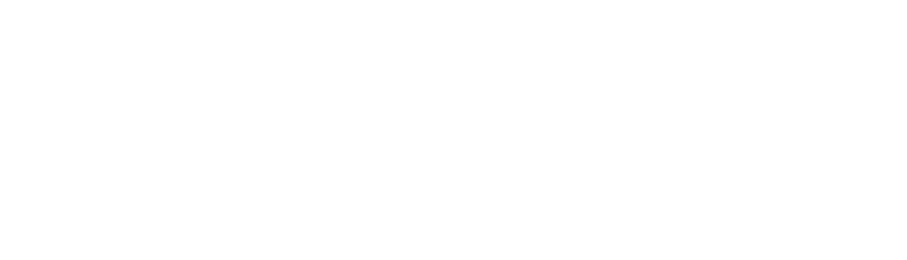 Logo Camcad CE - w